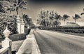 Palms and ocean along the city promenade, Palm Beach, Florida Royalty Free Stock Photo