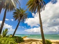 Palms and ocean in Hawaii Royalty Free Stock Photo