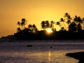 Palms and ocean at sunset in Hawaii Royalty Free Stock Photo