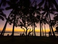 Palms and ocean in Hawaii Royalty Free Stock Photo