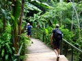 Palms, orchids and other plants at Garden Of The Sleeping Giant, popular attraction, Fiji