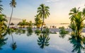 Palms over an infinity pool on the beach, French Polynesia Royalty Free Stock Photo