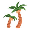 Island palms, palmtree. coconut tree holiday on white isolaited background Royalty Free Stock Photo