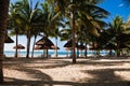 Palms, peace and sandy beach