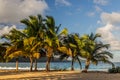 Palms at Playa Rincon beach in Las Galeras, Dominican Republ Royalty Free Stock Photo