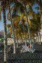 Palms on Puerto Naos beach, La Palma Royalty Free Stock Photo