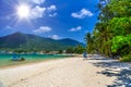 Palms and sand on Malibu Beach, Koh Phangan island, Suratthani