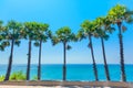 Palms and sea Royalty Free Stock Photo