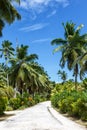 Palms Seychelles La Digue path vacation holidays paradise portrait format symbolic image palm