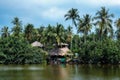 Palms on the shore of a tropical Gulf Royalty Free Stock Photo