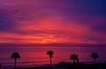 Palms in Silhouette Against Purple Sunrise