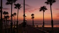 Palms and twilight sky in California USA. Tropical ocean beach sunset atmosphere. Los Angeles vibes.