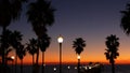 Palms and twilight sky in California USA. Tropical ocean beach sunset atmosphere. Los Angeles vibes. Royalty Free Stock Photo