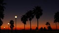 Palms silhouette twilight sky. People walking. Oceanside pier, California USA. Tropical beach sunset Royalty Free Stock Photo