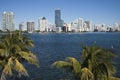 Palms and skyline of Miami Royalty Free Stock Photo