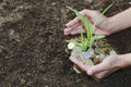 Palms with a tree growing from pile of coins, hands holding a tr