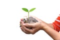 Palms with a tree growing from pile of coins Royalty Free Stock Photo