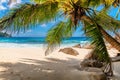 Palms and tropical beach with white sand. Royalty Free Stock Photo