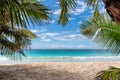Palms and tropical beach with white sand Royalty Free Stock Photo