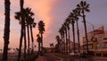 Palms and twilight sky in California USA. Tropical ocean beach sunset atmosphere. Los Angeles vibes Royalty Free Stock Photo