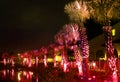 Palms under red light Royalty Free Stock Photo