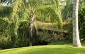 The Palms at Vidanta Riviera Maya Royalty Free Stock Photo