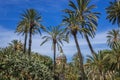 Park in Palermo, Sicily Island, Italy