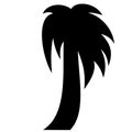 Palmtree Black Silhouette