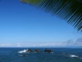 Palmtree leaf with seaview and rocks