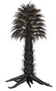 Palmtree, palm tree - 3D render