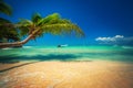 Palmtree and tropical beach. Exotic island Saona in Caribbean sea, Dominican Republic