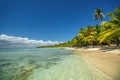 Tropical island beach shore with exotic palm trees, turquoise caribbean sea water and white sand. Saona, Punta Cana, Dominican Royalty Free Stock Photo