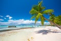 Palm tree, boat and tropical beach. Paradise exotic island, hdr Royalty Free Stock Photo