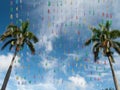 Palmtrees against blue sky with flags in a row Royalty Free Stock Photo