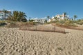 Palmtrees on beach dunes Royalty Free Stock Photo