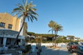 Palmtrees in Cabopino, Marbella.