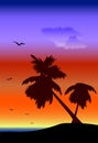 Palmtrees landscape