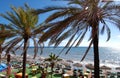 Palmtrees at Marbella beach Royalty Free Stock Photo