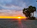 Palmtrees on a tropical beach with a colorfull sky in Spain Europe