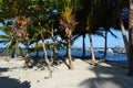 Palmy Shore with Jetty and Boat, Caye Caulker, Belize