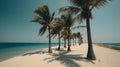 Palmy Trees Create a Breathtaking Backdrop to a Pristine Sandy Beach, Offering Solitude and Natural Beauty Royalty Free Stock Photo