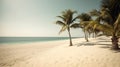 Palmy Trees Embrace a Sandy Beach, Offering an Escape to Coastal Bliss