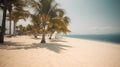 Palmy Trees and a Sandy Beach Unveil a Hidden Paradise Royalty Free Stock Photo