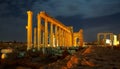 Palmyra Royalty Free Stock Photo