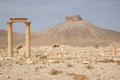 Palmyra Royalty Free Stock Photo