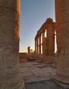 Palmyra ruins in Syria Royalty Free Stock Photo