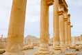 Palmyra Ruins - Syria Royalty Free Stock Photo