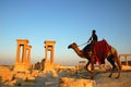 Palmyra Syria Royalty Free Stock Photo