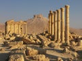 Palmyra, Syria Royalty Free Stock Photo