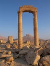 Palmyra, Syria Royalty Free Stock Photo